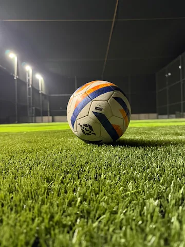 Turf photo 4