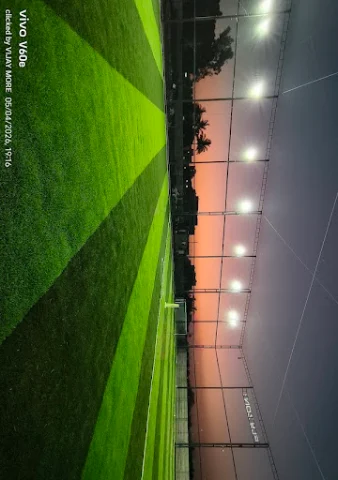 Turf photo 5