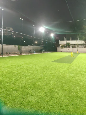 Turf photo 8