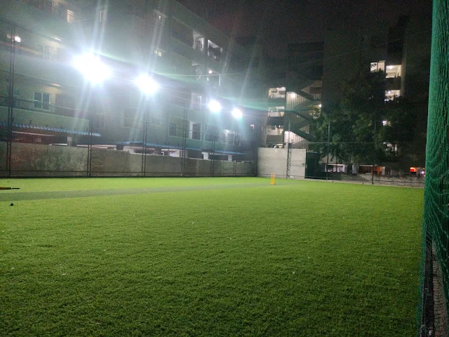 Turf photo 7