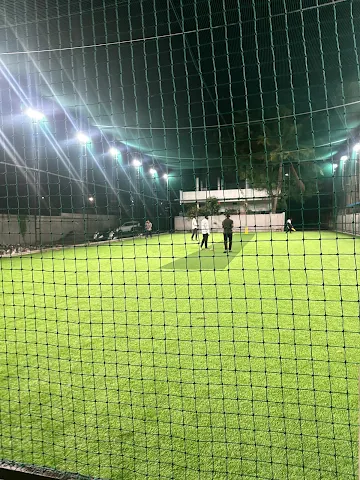 Turf photo 4