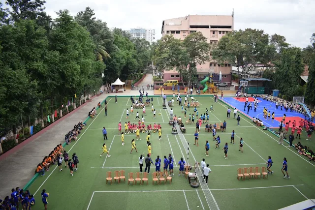 Turf photo 3