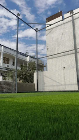 Turf photo 3