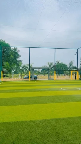 Turf photo 3