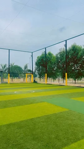 Turf main photo