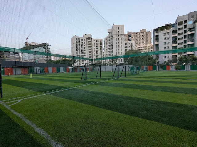 Turf photo 2