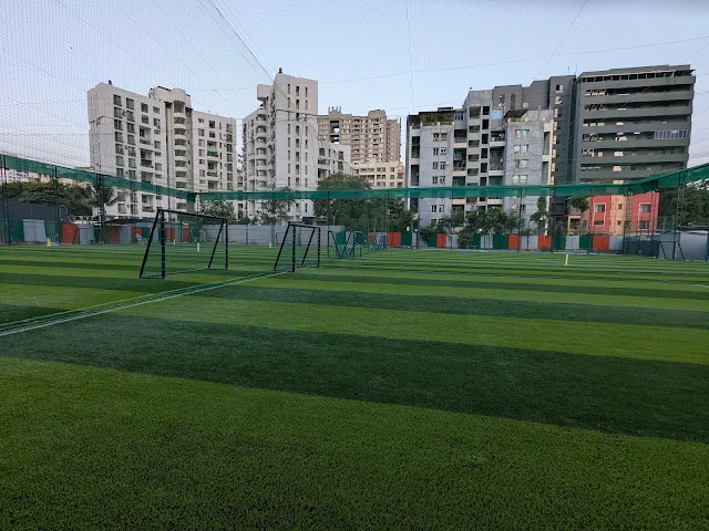Turf photo 3
