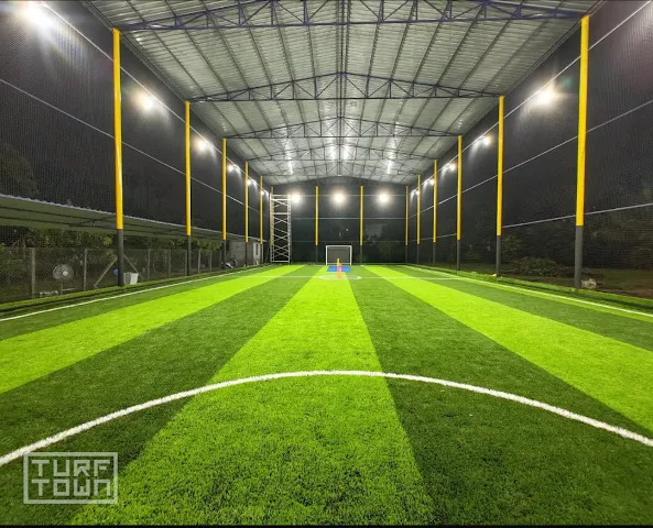 Turf photo 2