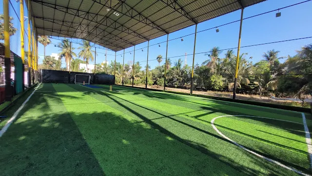 Turf main photo