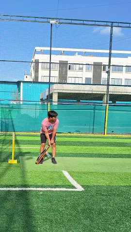 Turf photo 2