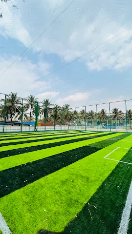 Turf photo 7