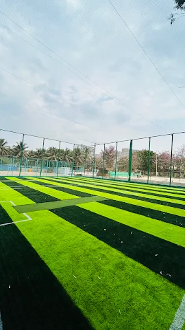 Turf photo 6