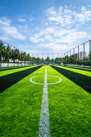 Turf photo 5