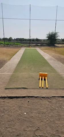 Turf photo 3