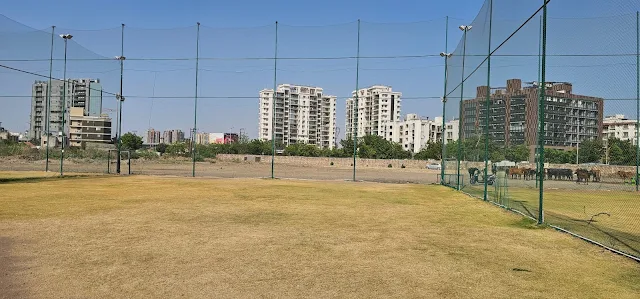Turf main photo