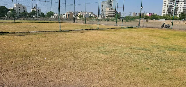 Turf photo 2