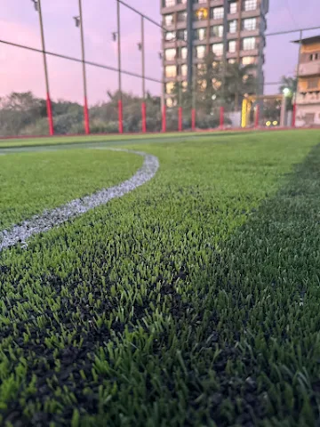 Turf photo 2