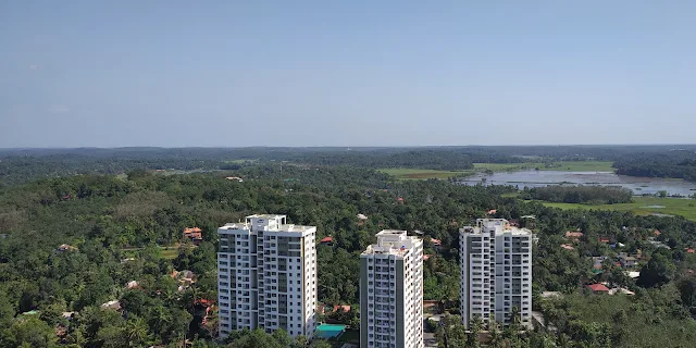 Skyline Green Turf