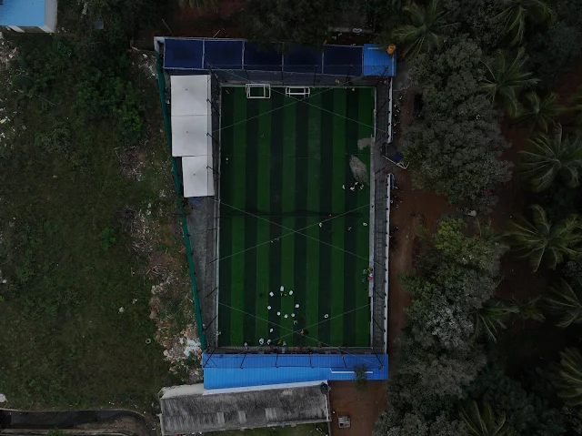 Turf photo 6