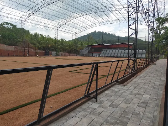 Turf photo 6