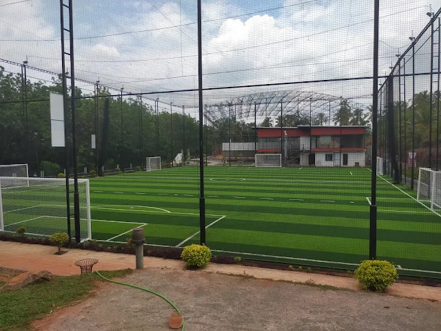 Turf main photo