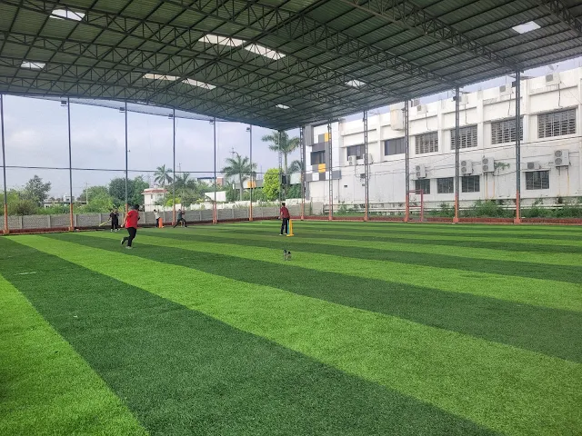Turf photo 2