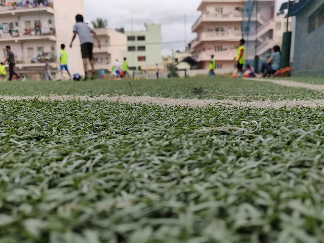 Turf photo 2