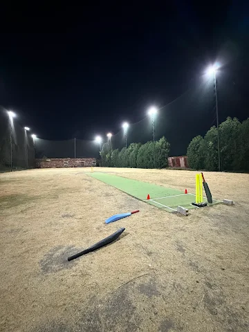 Turf photo 7