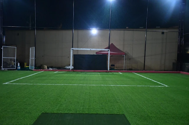 Turf photo 6