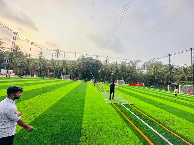 Turf main photo