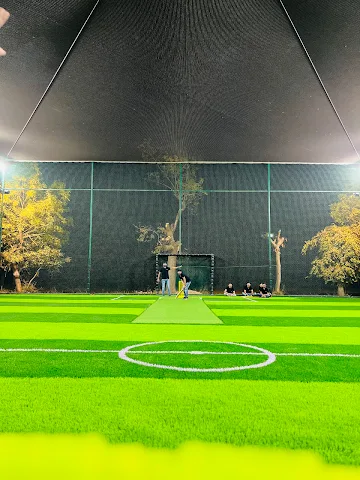 Turf photo 2
