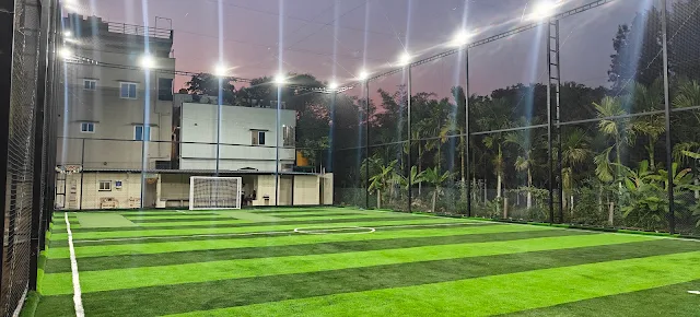 Turf photo 3