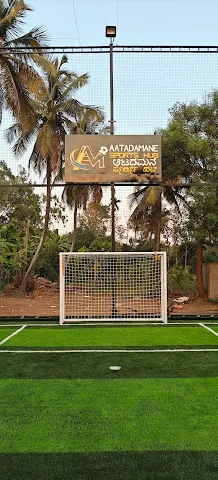 Turf photo 2