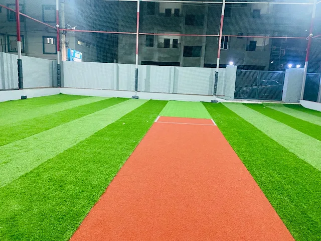 Turf photo 5