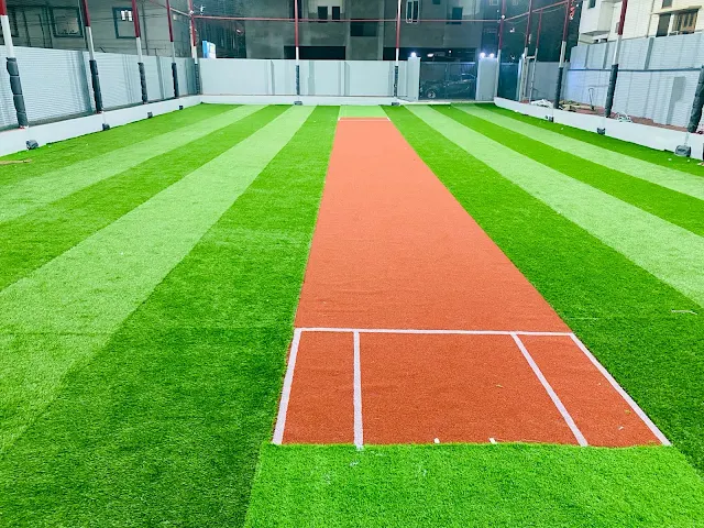 Turf photo 7