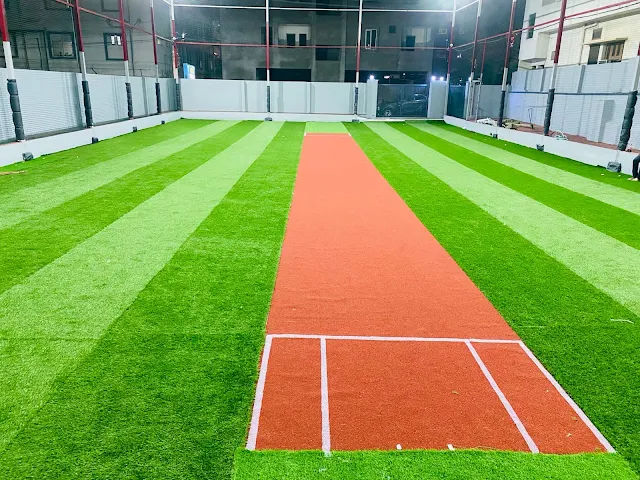 Turf photo 6