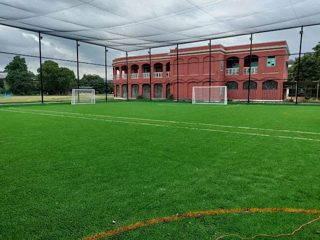 Turf main photo