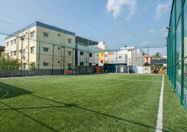 Turf main photo