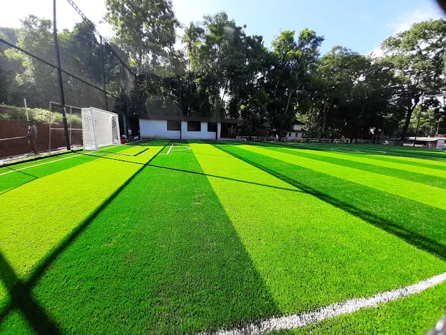 Turf photo 2