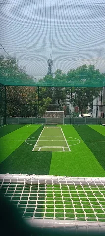Turf photo 2