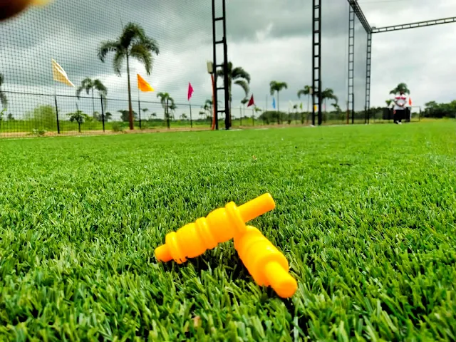 Turf photo 2