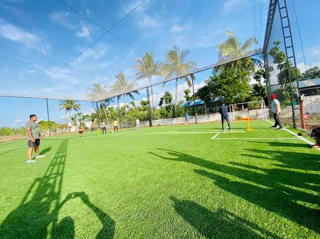 Turf photo 3