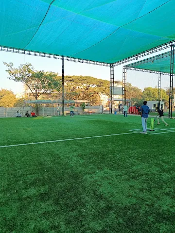 Turf photo 4