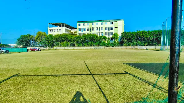 Turf photo 5