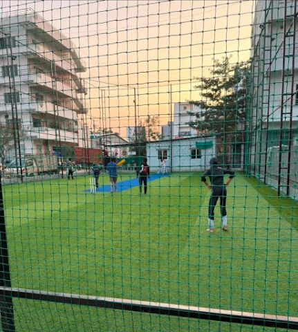 Turf photo 2