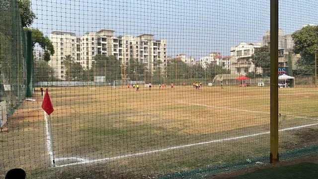 Turf photo 7