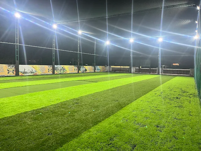Turf photo 2