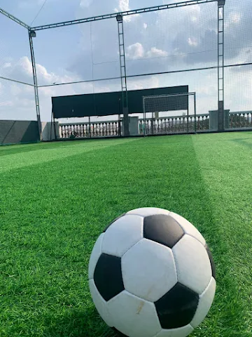 Turf photo 8