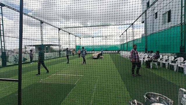 Turf photo 4