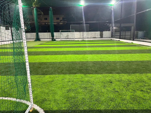 Turf photo 3